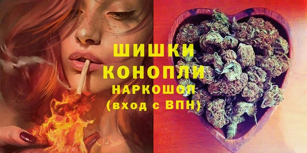экстази Гусь-Хрустальный