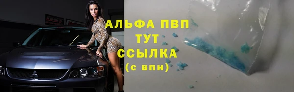 a pvp Гусиноозёрск