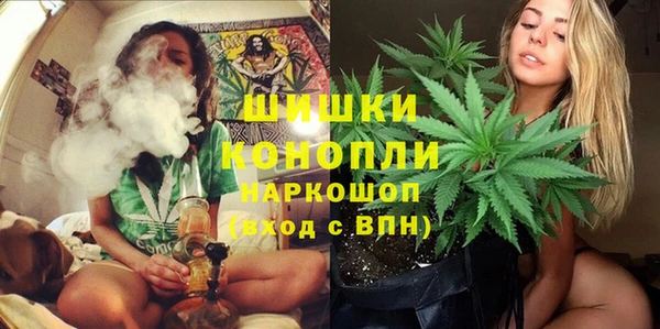 круглые Вяземский