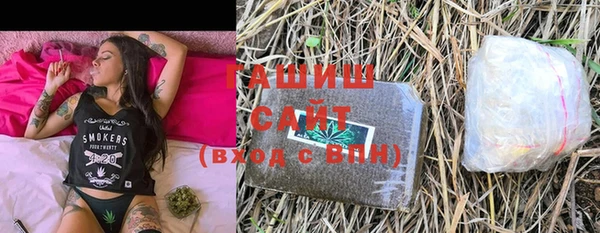 spice Гусев