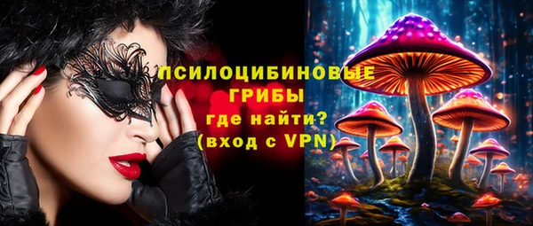 дживик Володарск