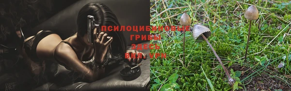 a pvp Гусиноозёрск