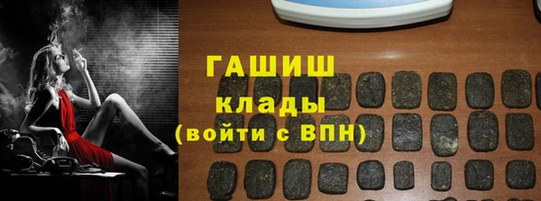 spice Гусев