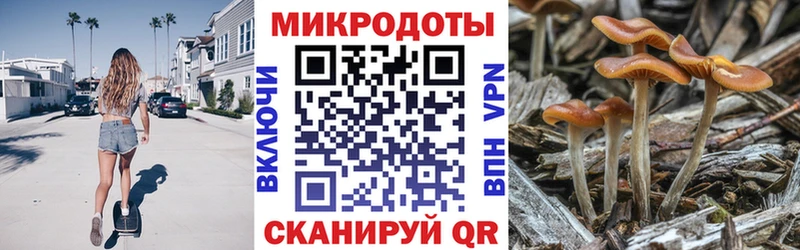 Галлюциногенные грибы GOLDEN TEACHER  где найти   Дубовка 