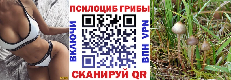 Псилоцибиновые грибы GOLDEN TEACHER Дубовка